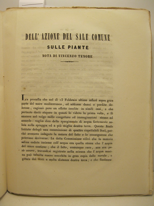 Dell'azione  del sale comune sulle piante. Nota